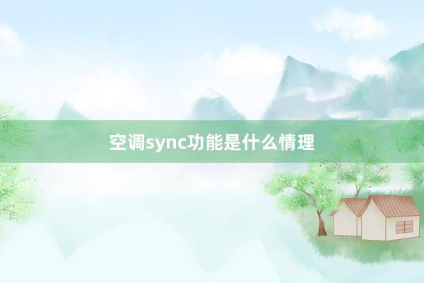 空调sync功能是什么情理
